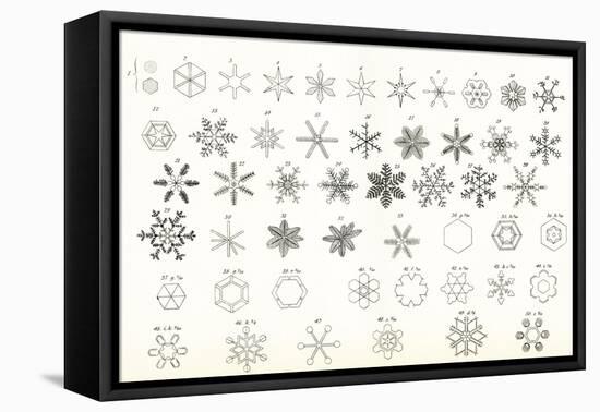 Different Forms of Snow and Hailstones. from the National Encyclopaedia, Published C.1890-null-Framed Premier Image Canvas