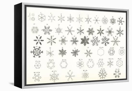 Different Forms of Snow and Hailstones. from the National Encyclopaedia, Published C.1890-null-Framed Premier Image Canvas