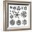 Different Forms of Snowflakes, 1895 (Litho)-German School-Framed Giclee Print