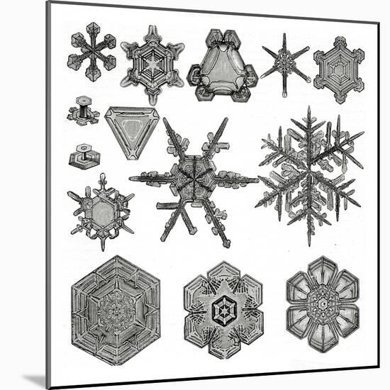 Different Forms of Snowflakes, 1895 (Litho)-German School-Mounted Giclee Print