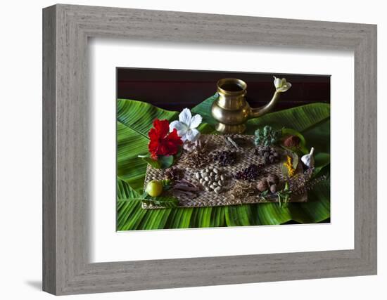 Different Indian Spices on Display at Swaswara, Karnataka, India, Asia-Thomas L-Framed Photographic Print