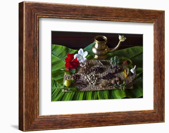 Different Indian Spices on Display at Swaswara, Karnataka, India, Asia-Thomas L-Framed Photographic Print