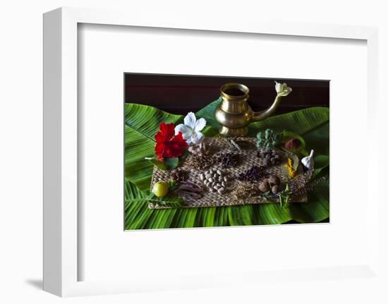 Different Indian Spices on Display at Swaswara, Karnataka, India, Asia-Thomas L-Framed Photographic Print