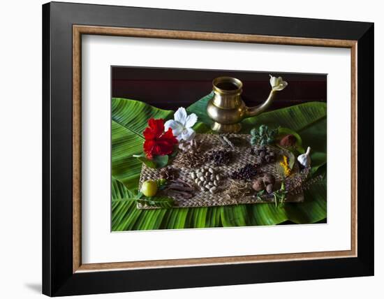 Different Indian Spices on Display at Swaswara, Karnataka, India, Asia-Thomas L-Framed Photographic Print