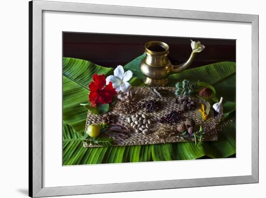 Different Indian Spices on Display at Swaswara, Karnataka, India, Asia-Thomas L-Framed Photographic Print