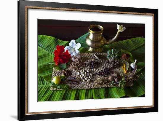 Different Indian Spices on Display at Swaswara, Karnataka, India, Asia-Thomas L-Framed Photographic Print