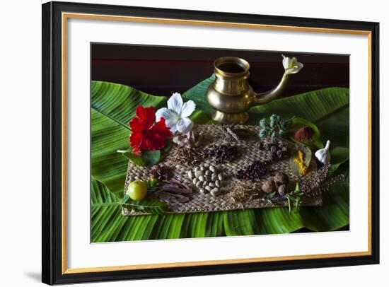 Different Indian Spices on Display at Swaswara, Karnataka, India, Asia-Thomas L-Framed Photographic Print