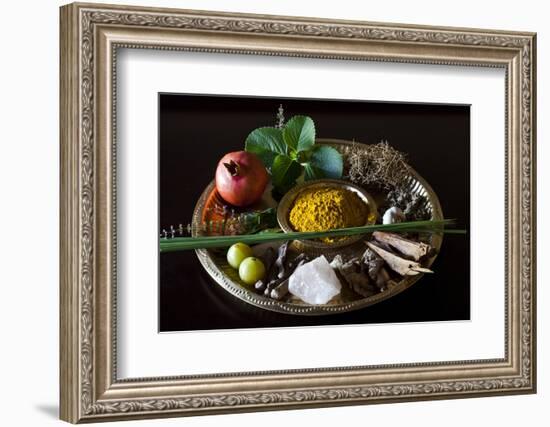 Different Indian Spices on Display at Swaswara, Karnataka, India, Asia-Thomas L-Framed Photographic Print