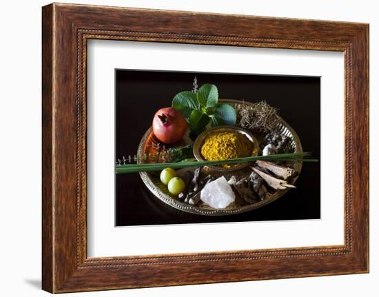 Different Indian Spices on Display at Swaswara, Karnataka, India, Asia-Thomas L-Framed Photographic Print