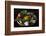 Different Indian Spices on Display at Swaswara, Karnataka, India, Asia-Thomas L-Framed Photographic Print