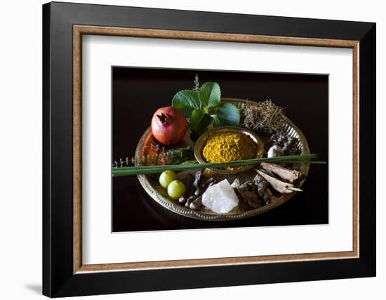 Different Indian Spices on Display at Swaswara, Karnataka, India, Asia-Thomas L-Framed Photographic Print