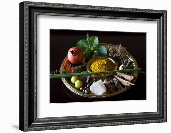 Different Indian Spices on Display at Swaswara, Karnataka, India, Asia-Thomas L-Framed Photographic Print