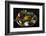 Different Indian Spices on Display at Swaswara, Karnataka, India, Asia-Thomas L-Framed Photographic Print