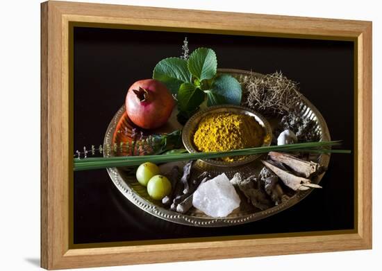 Different Indian Spices on Display at Swaswara, Karnataka, India, Asia-Thomas L-Framed Premier Image Canvas