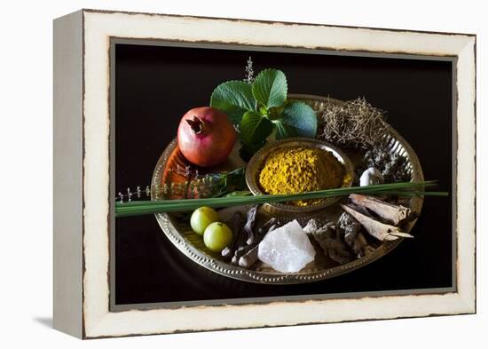 Different Indian Spices on Display at Swaswara, Karnataka, India, Asia-Thomas L-Framed Premier Image Canvas