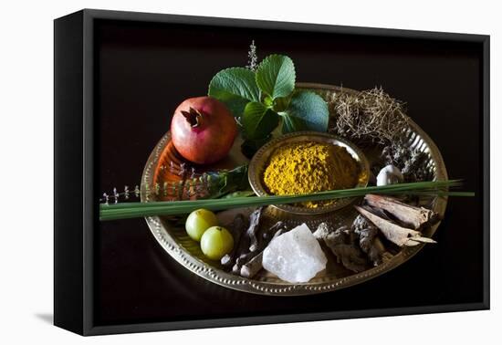 Different Indian Spices on Display at Swaswara, Karnataka, India, Asia-Thomas L-Framed Premier Image Canvas