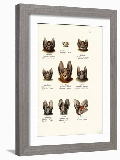 Different Kinds of Bats, 1824-Karl Joseph Brodtmann-Framed Giclee Print