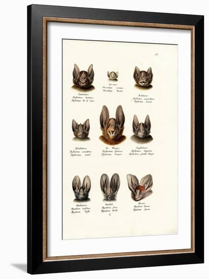 Different Kinds of Bats, 1824-Karl Joseph Brodtmann-Framed Giclee Print