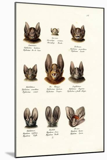 Different Kinds of Bats, 1824-Karl Joseph Brodtmann-Mounted Giclee Print