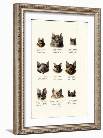 Different Kinds of Bats, 1824-Karl Joseph Brodtmann-Framed Giclee Print