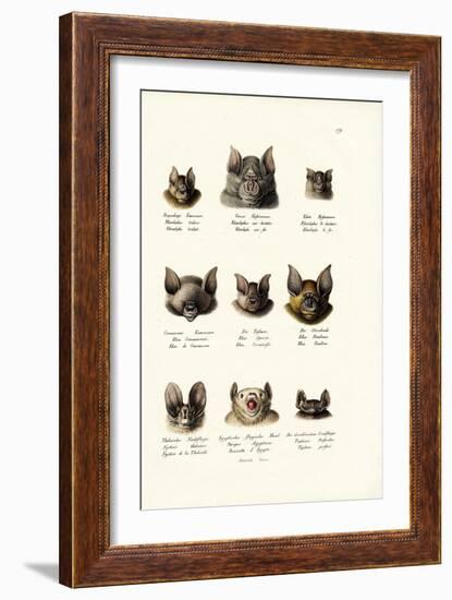 Different Kinds of Bats, 1824-Karl Joseph Brodtmann-Framed Giclee Print