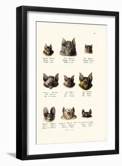 Different Kinds of Bats, 1824-Karl Joseph Brodtmann-Framed Giclee Print