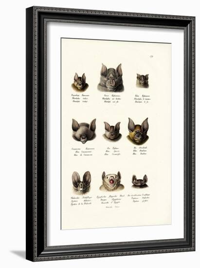 Different Kinds of Bats, 1824-Karl Joseph Brodtmann-Framed Giclee Print