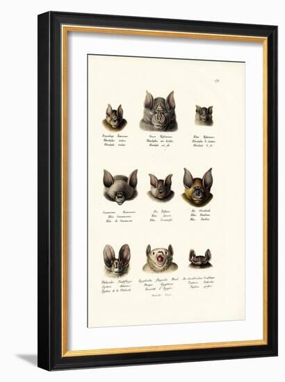 Different Kinds of Bats, 1824-Karl Joseph Brodtmann-Framed Giclee Print