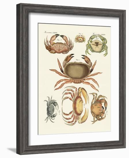 Different Kinds of Crabs-null-Framed Giclee Print