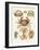 Different Kinds of Crabs-null-Framed Giclee Print