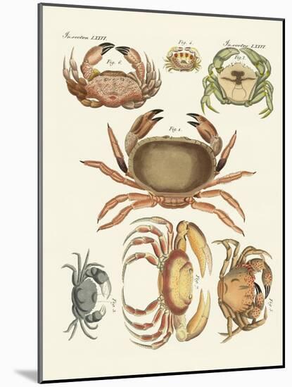Different Kinds of Crabs-null-Mounted Giclee Print