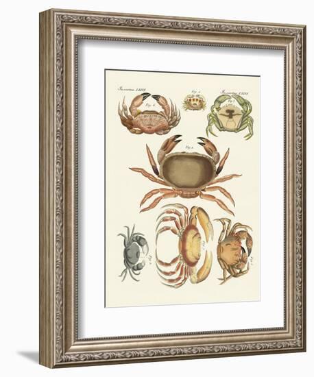 Different Kinds of Crabs-null-Framed Giclee Print