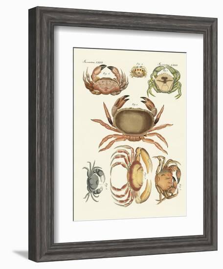 Different Kinds of Crabs-null-Framed Giclee Print