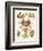 Different Kinds of Crabs-null-Framed Giclee Print