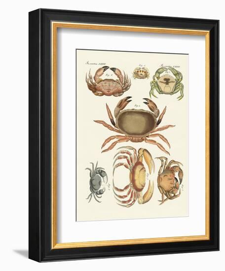 Different Kinds of Crabs--Framed Giclee Print