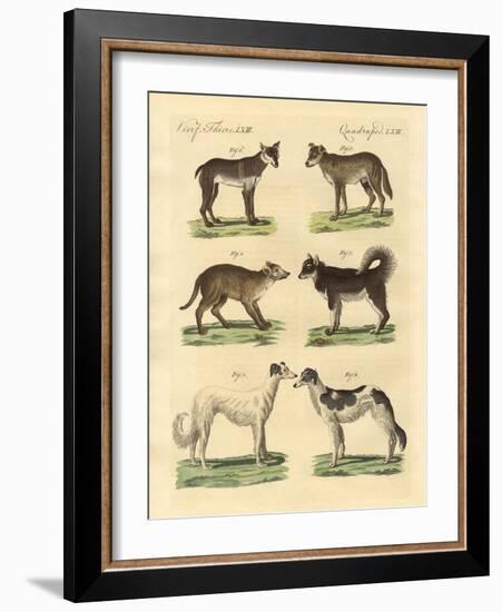 Different Kinds of Dogs-null-Framed Giclee Print