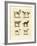 Different Kinds of Dogs-null-Framed Giclee Print