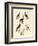 Different Kinds of Foreign Pigeons-null-Framed Giclee Print