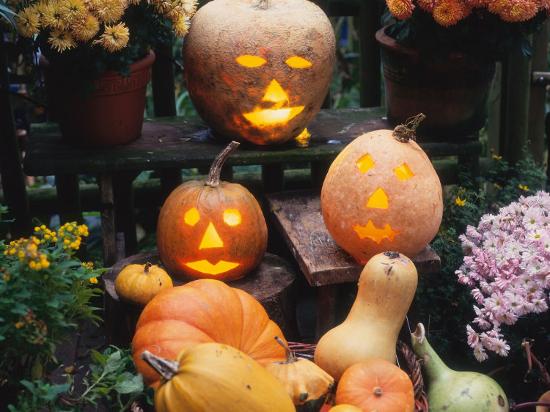 different kinds of pumpkin and pumpkin faces at halloween cucurbita