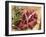 Different Meats with Bunch of Herbs-Eising Studio - Food Photo and Video-Framed Photographic Print