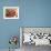Different Meats with Bunch of Herbs-Eising Studio - Food Photo and Video-Framed Photographic Print displayed on a wall