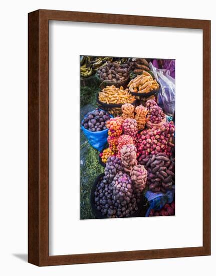 Different Potatoes for Sale at a Food Market in La Paz, La Paz Department, Bolivia, South America-Matthew Williams-Ellis-Framed Photographic Print