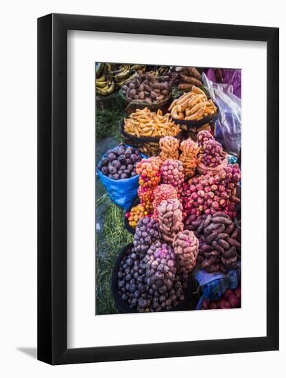 Different Potatoes for Sale at a Food Market in La Paz, La Paz Department, Bolivia, South America-Matthew Williams-Ellis-Framed Photographic Print