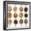 Different Type Of Seeds On Wooden Spoon-adamr-Framed Art Print