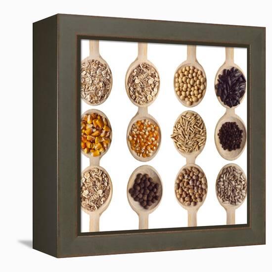 Different Type Of Seeds On Wooden Spoon-adamr-Framed Stretched Canvas