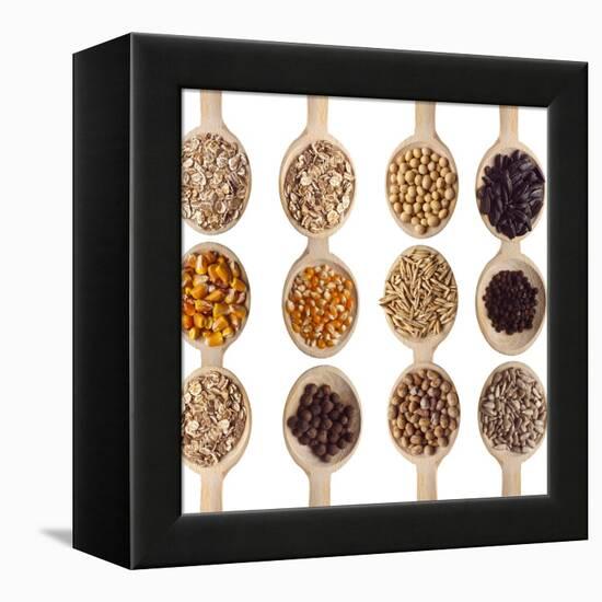 Different Type Of Seeds On Wooden Spoon-adamr-Framed Stretched Canvas