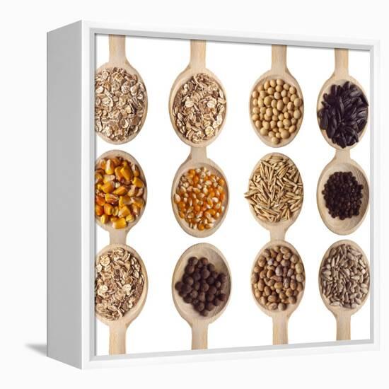 Different Type Of Seeds On Wooden Spoon-adamr-Framed Stretched Canvas