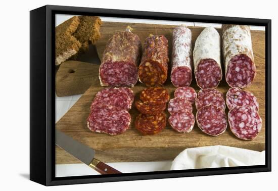 Different Type of Tuscan Salami, Tuscany, Italy-Nico Tondini-Framed Premier Image Canvas