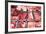 Different Types of Meat at the Sale Counter of a Butcher-null-Framed Photo