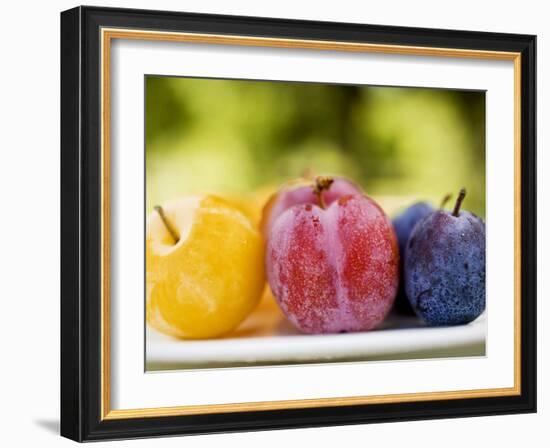 Different Types of Plums-null-Framed Photographic Print